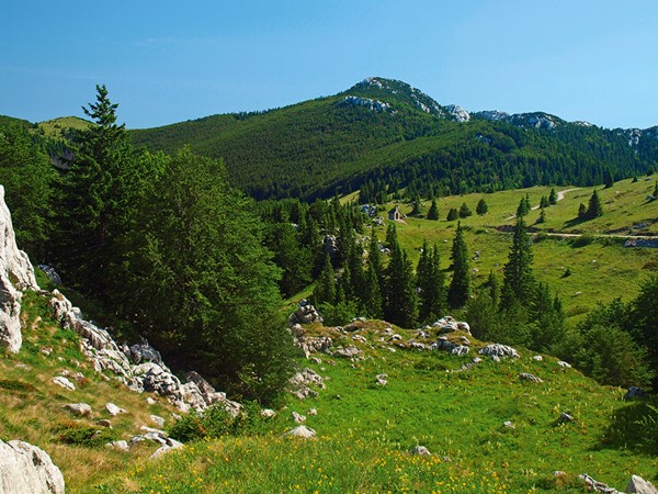 Slika.